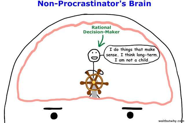 NP brain