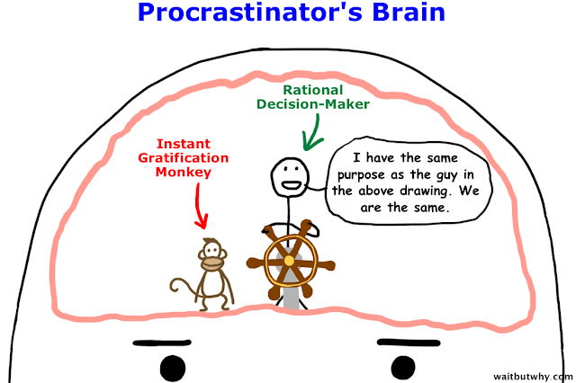 P brain